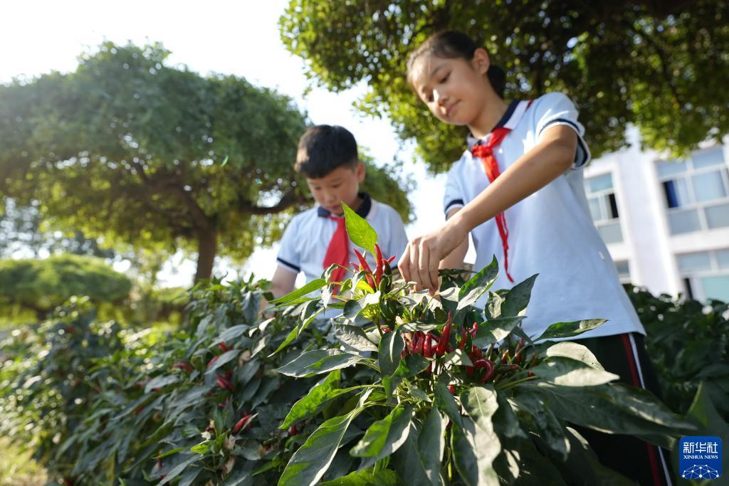 扑克牌玩法大全2人